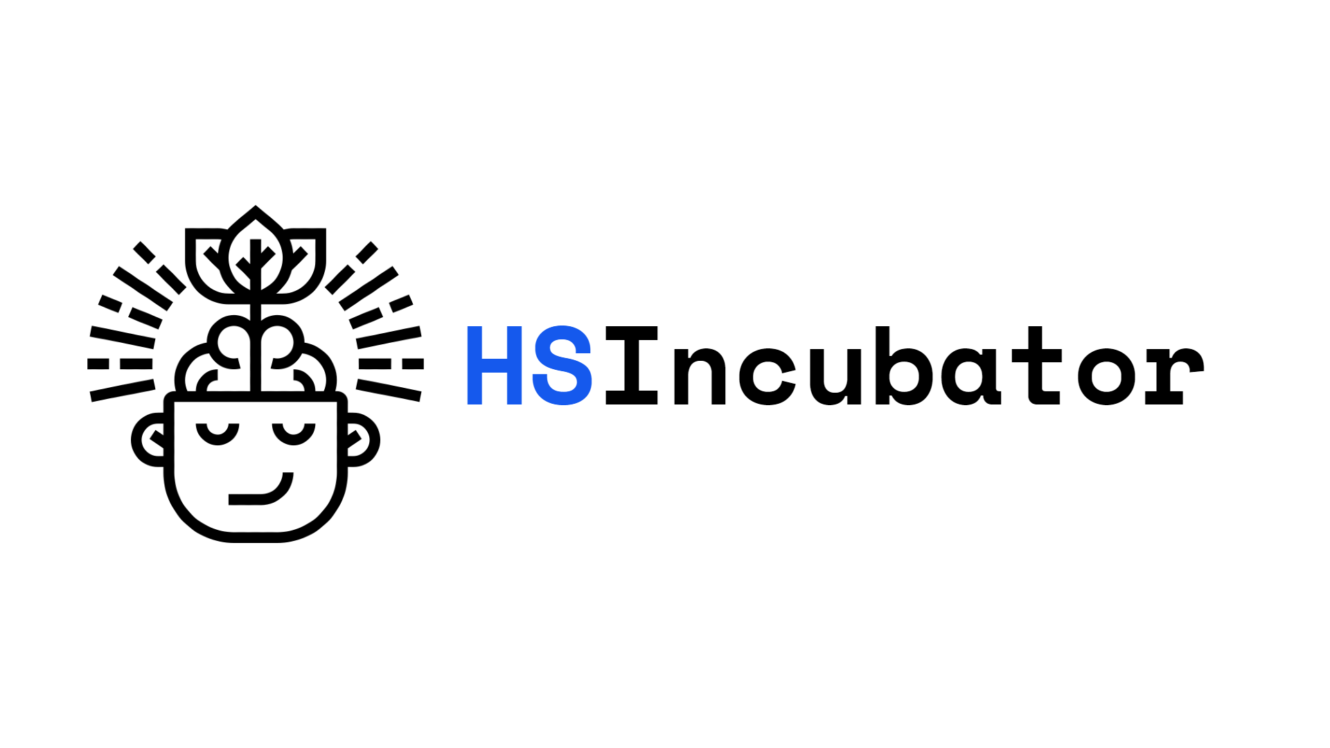 HS Incubator - Logo